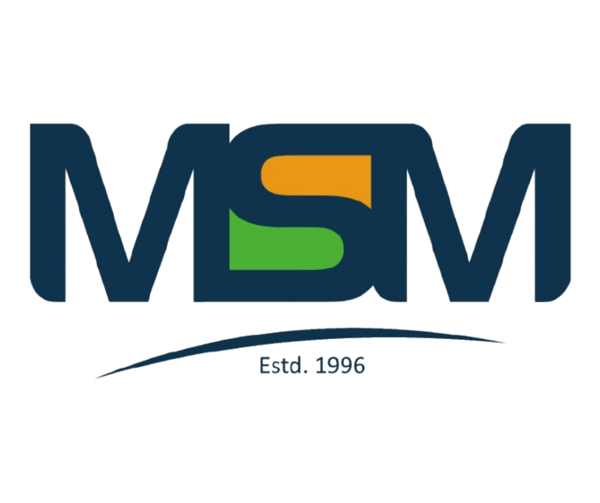 Master School of Management logo